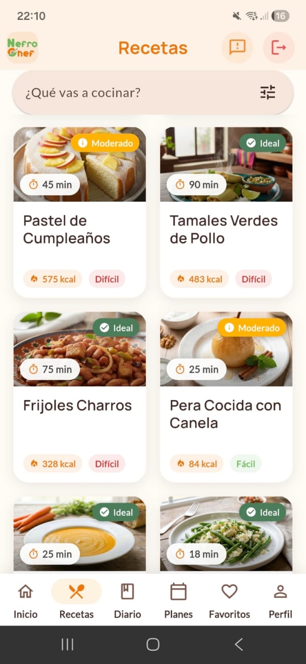 Capture d'écran NefroChef