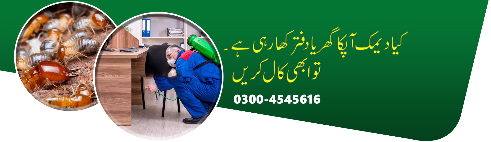 Best Deemak Control in Lahore