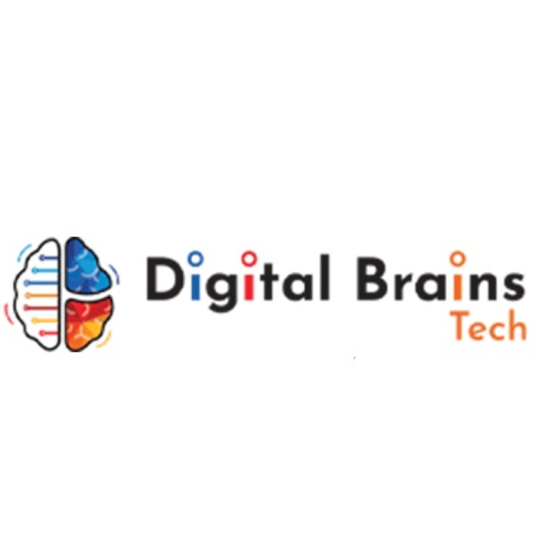 Digital Brains Tech logo