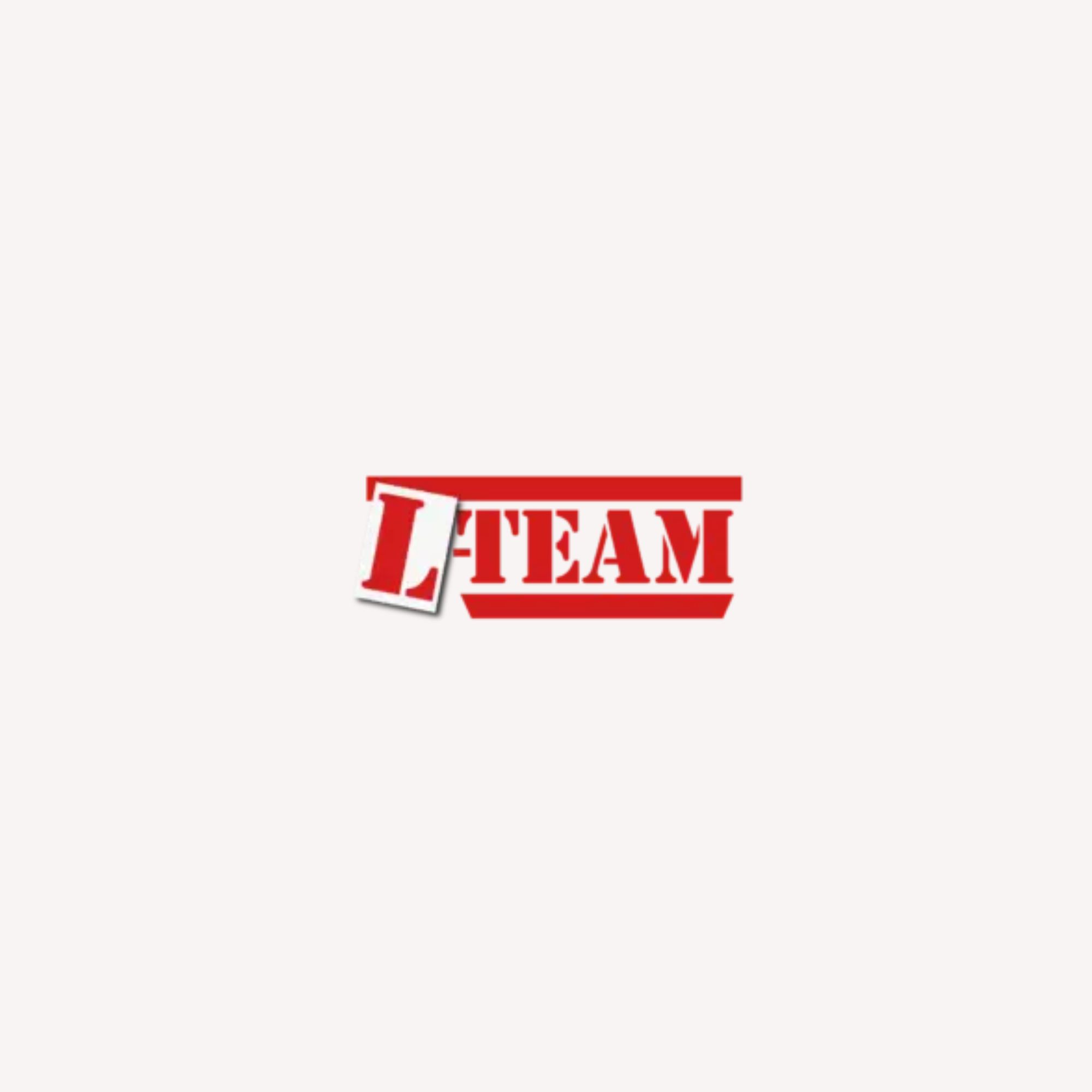 L TEAM DRIVING SCHOOL logo