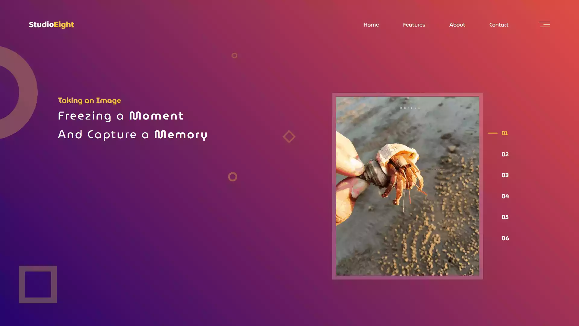 Image Gallery with HTML CSS and JavaScript