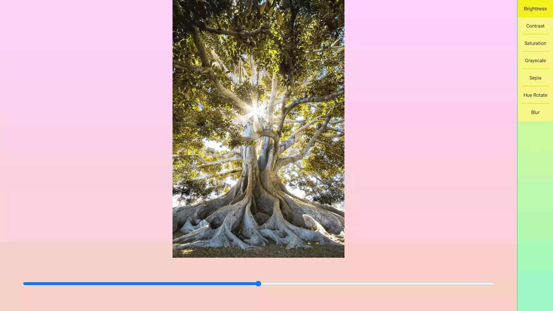 Create a Stunning Photo Filter Web App with React JS