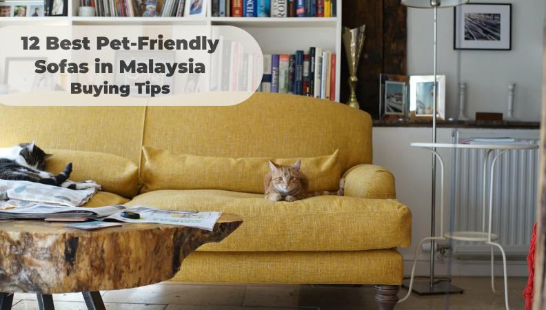 Best pet friendly sofas top