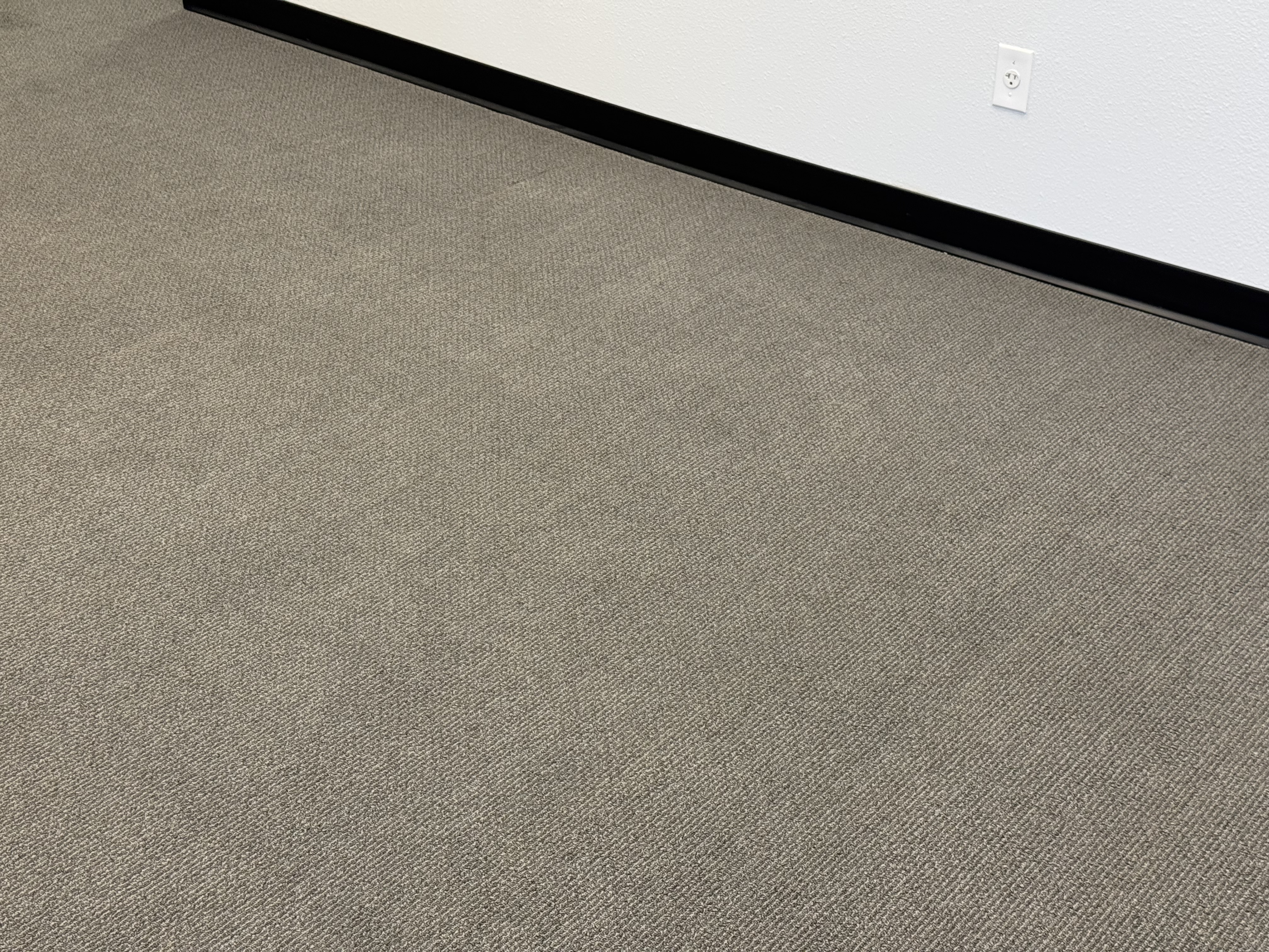 Lobby carpet after cleaning