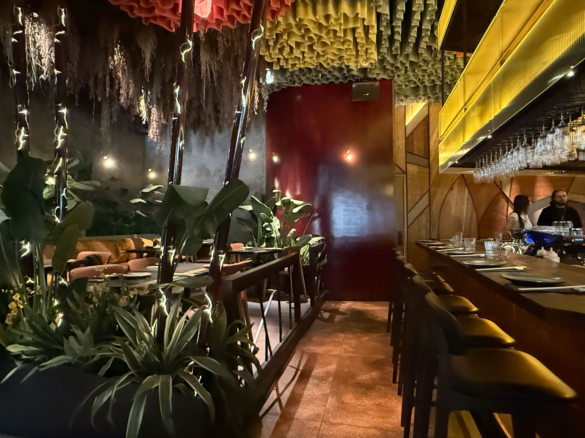 WhatsApp Image 2026-03-03 at 20.23.50 (1)