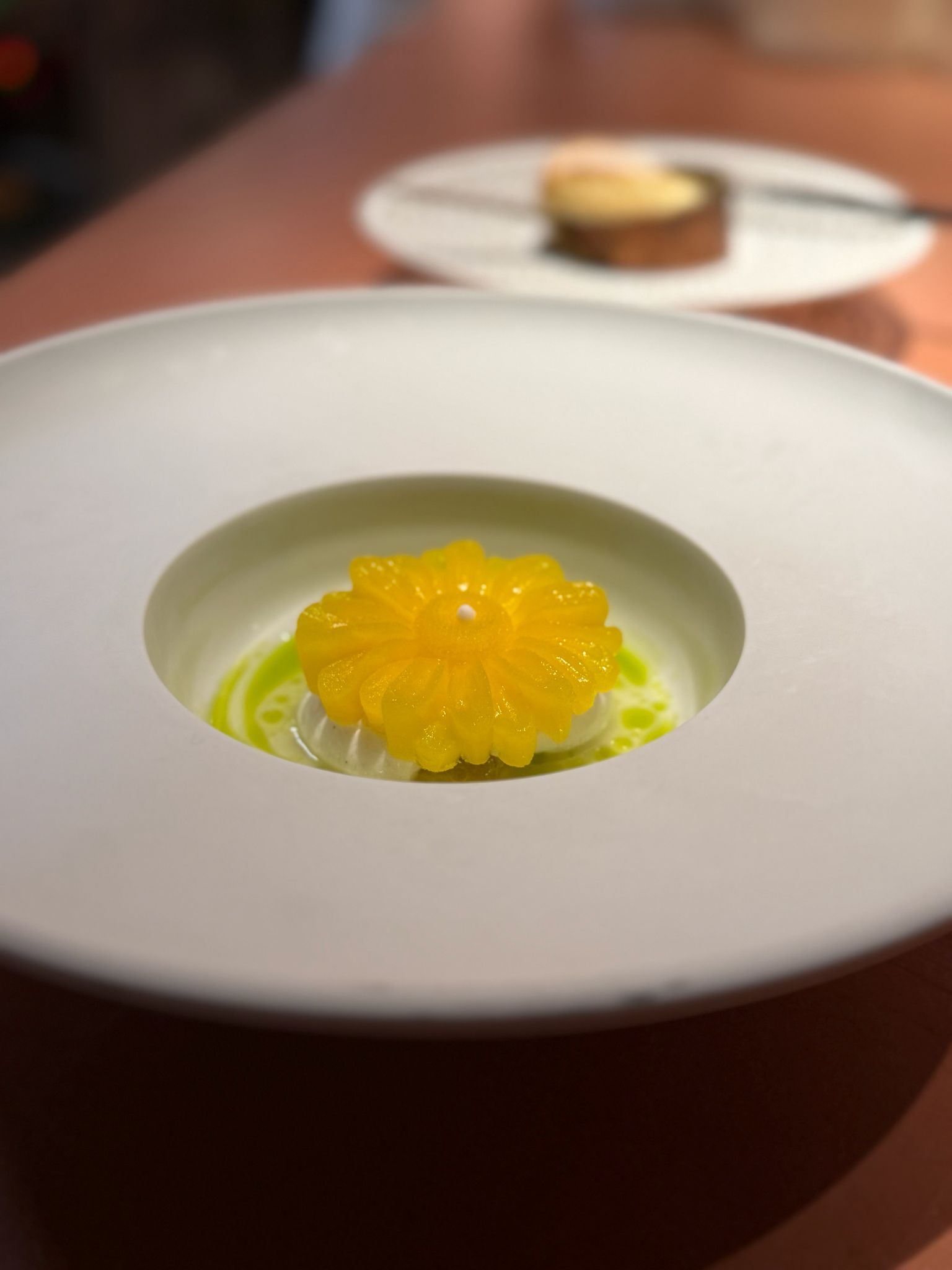 WhatsApp Image 2026-03-03 at 20.37.17 (2)