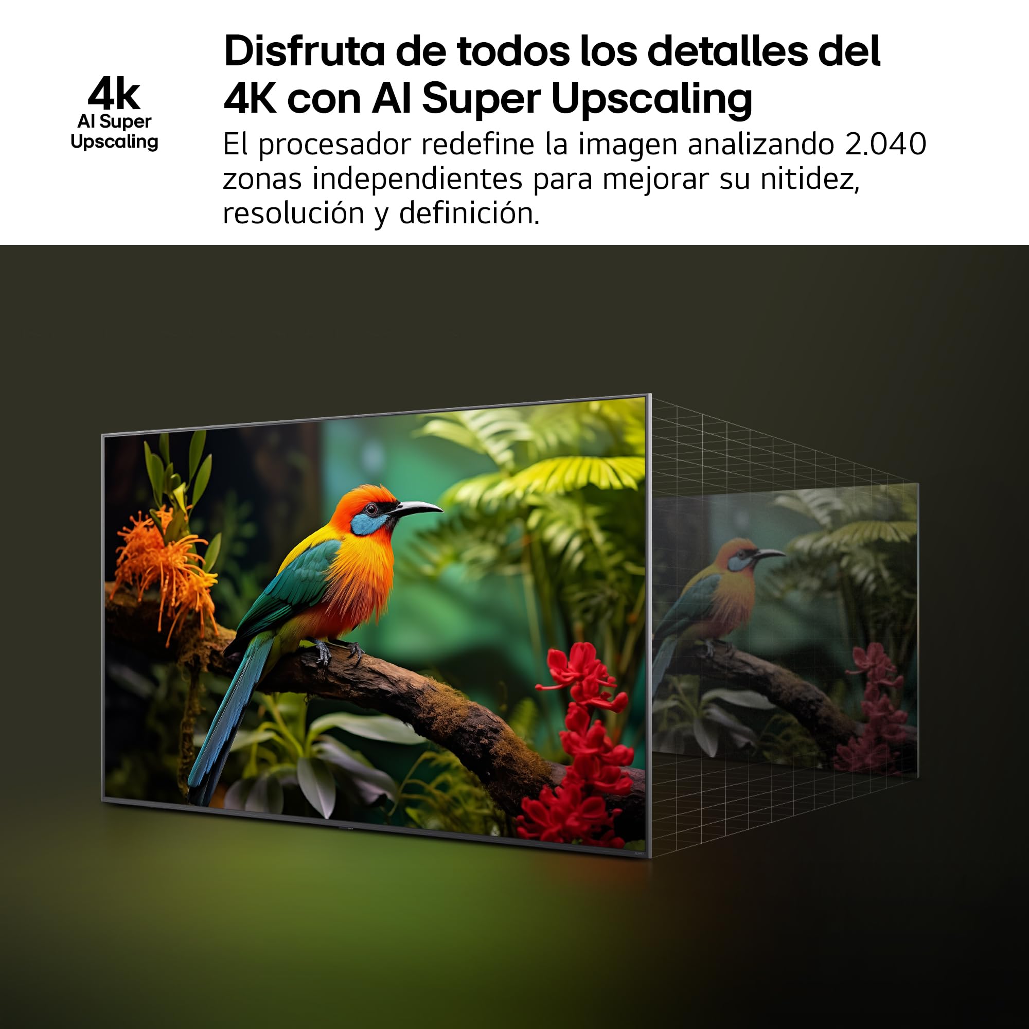 TV LG 55