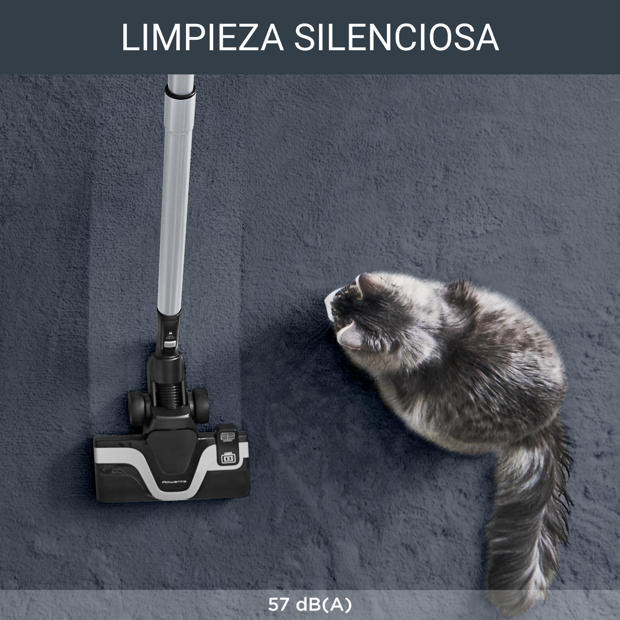 Aspiradora Rowenta silenciosa 57 dB con gato durmiendo