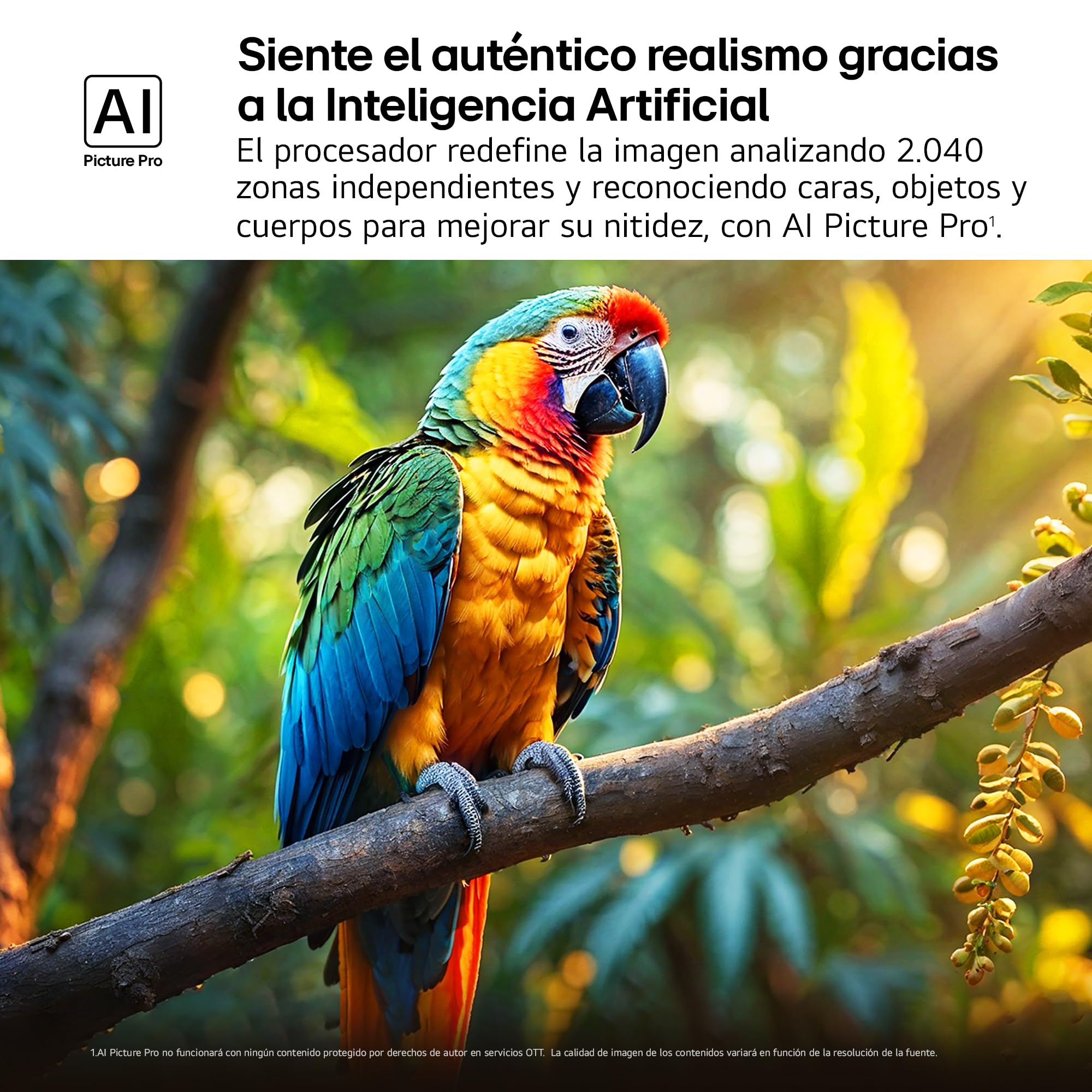 Guacamayo colorido en rama selvática demostrando calidad de imagen del LG QNED con AI Picture Pro