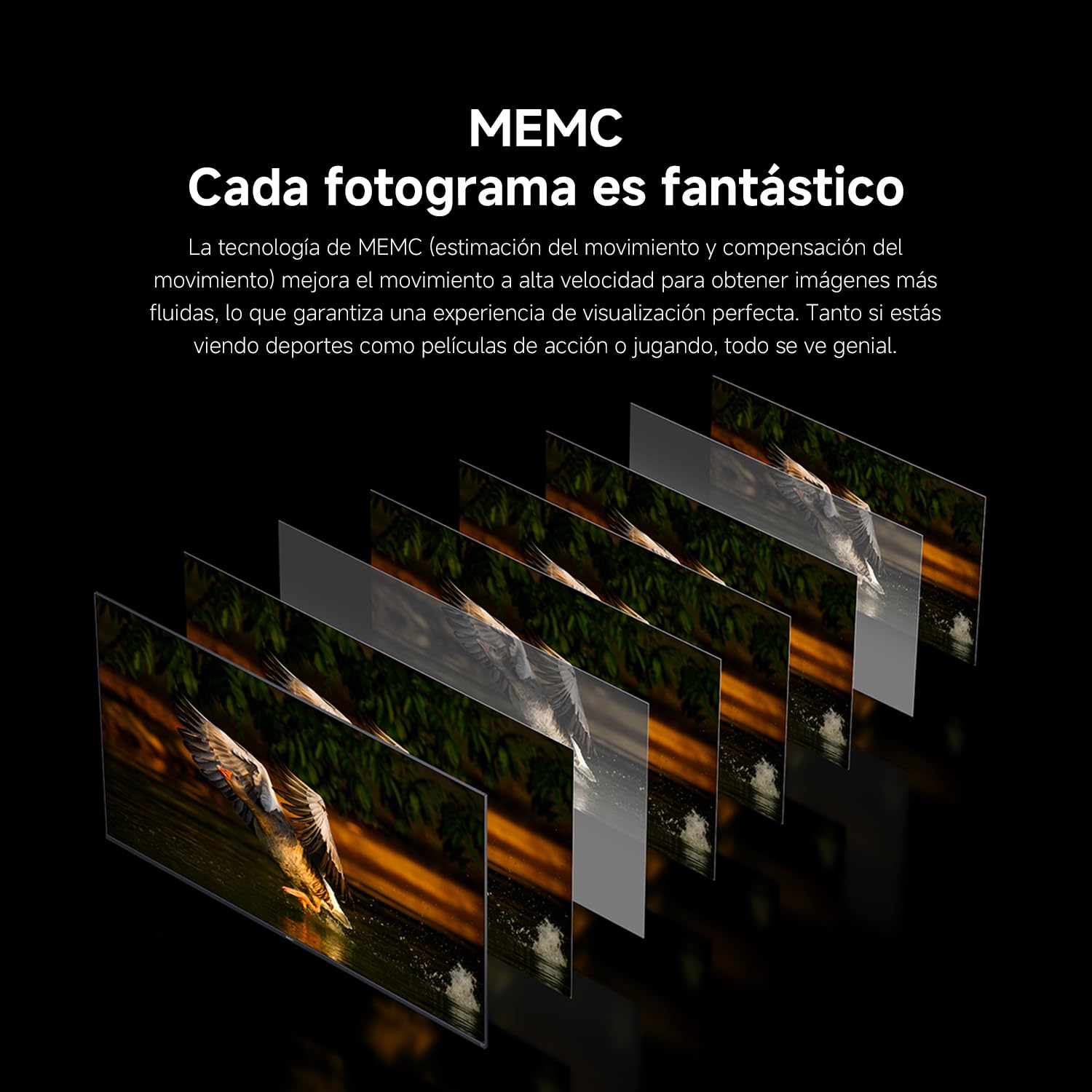 Xiaomi TV F 50 tecnología MEMC con secuencia de fotogramas de águila en vuelo