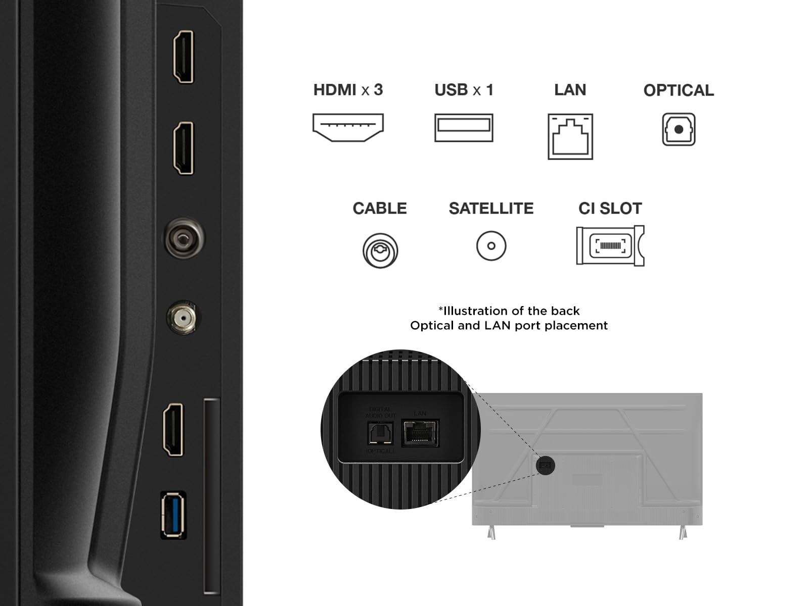 Vista de puertos y conexiones traseras del Smart TV TCL 43V6C 4K con detalle de HDMI, USB y LAN