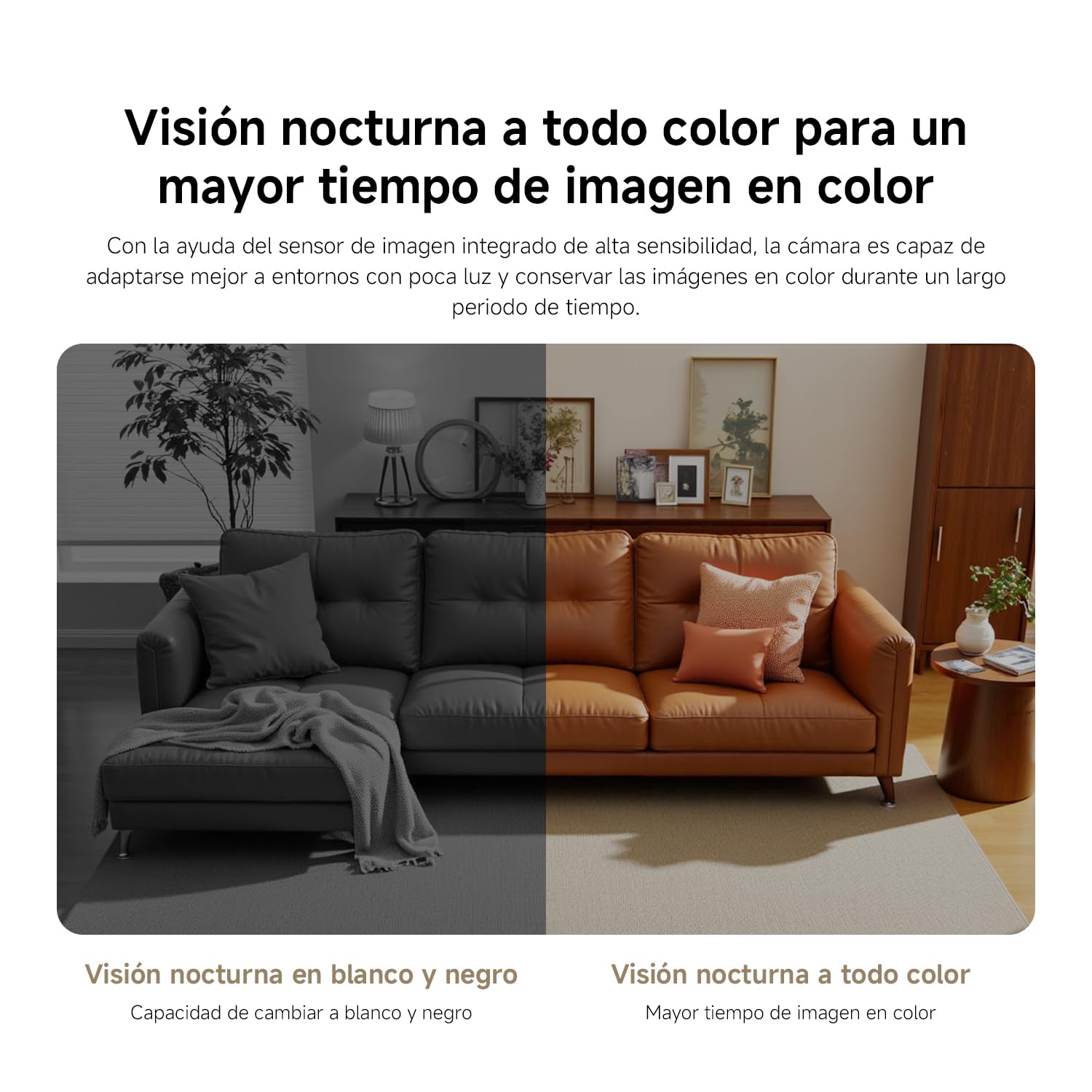 Comparativa visión nocturna blanco y negro y color en sofá moderno