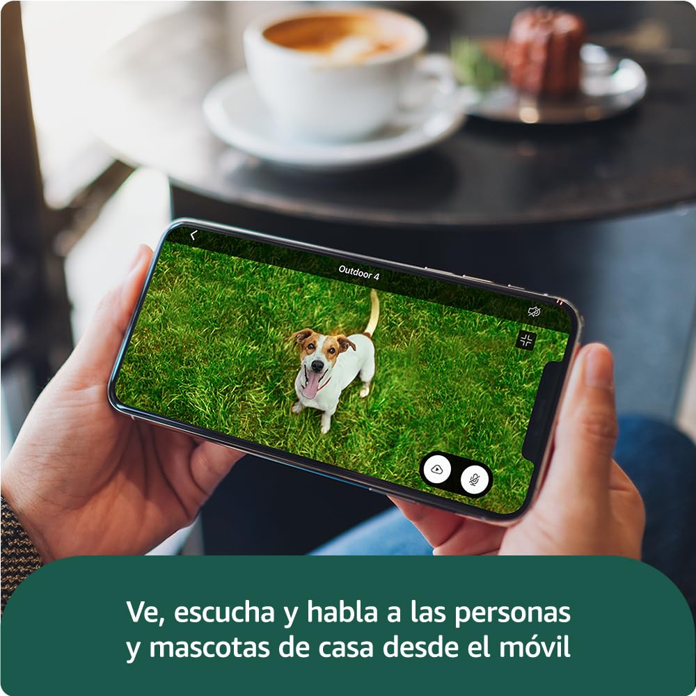 Persona usa móvil para ver perro con cámara Blink Outdoor 4