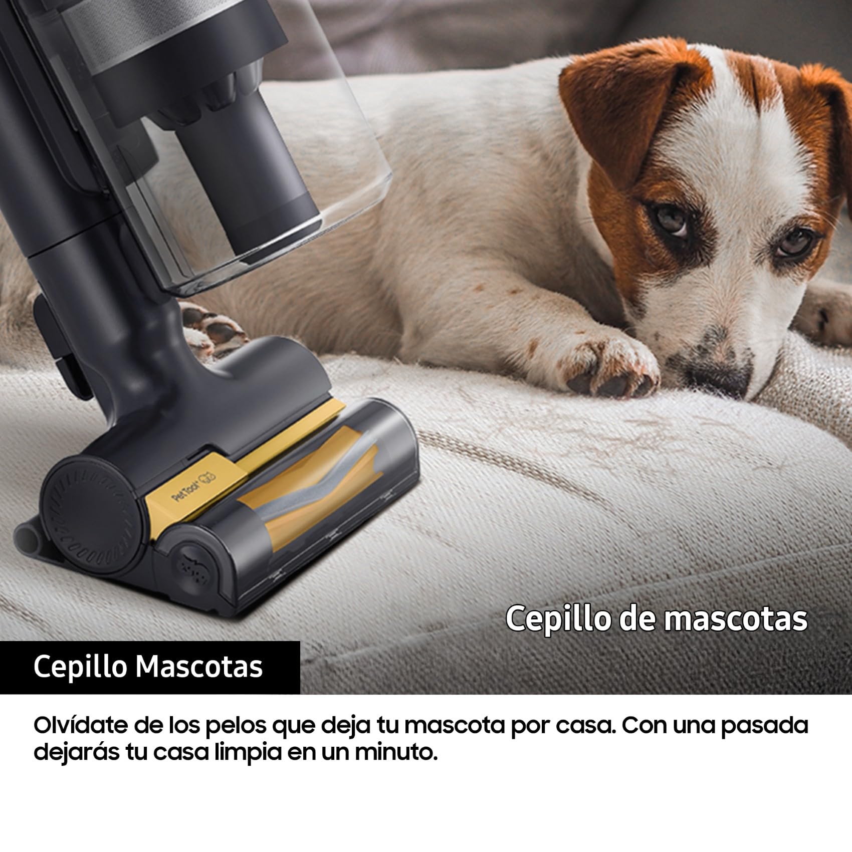 Cepillo para mascotas de aspiradora Samsung limpiando sofá con perro al fondo