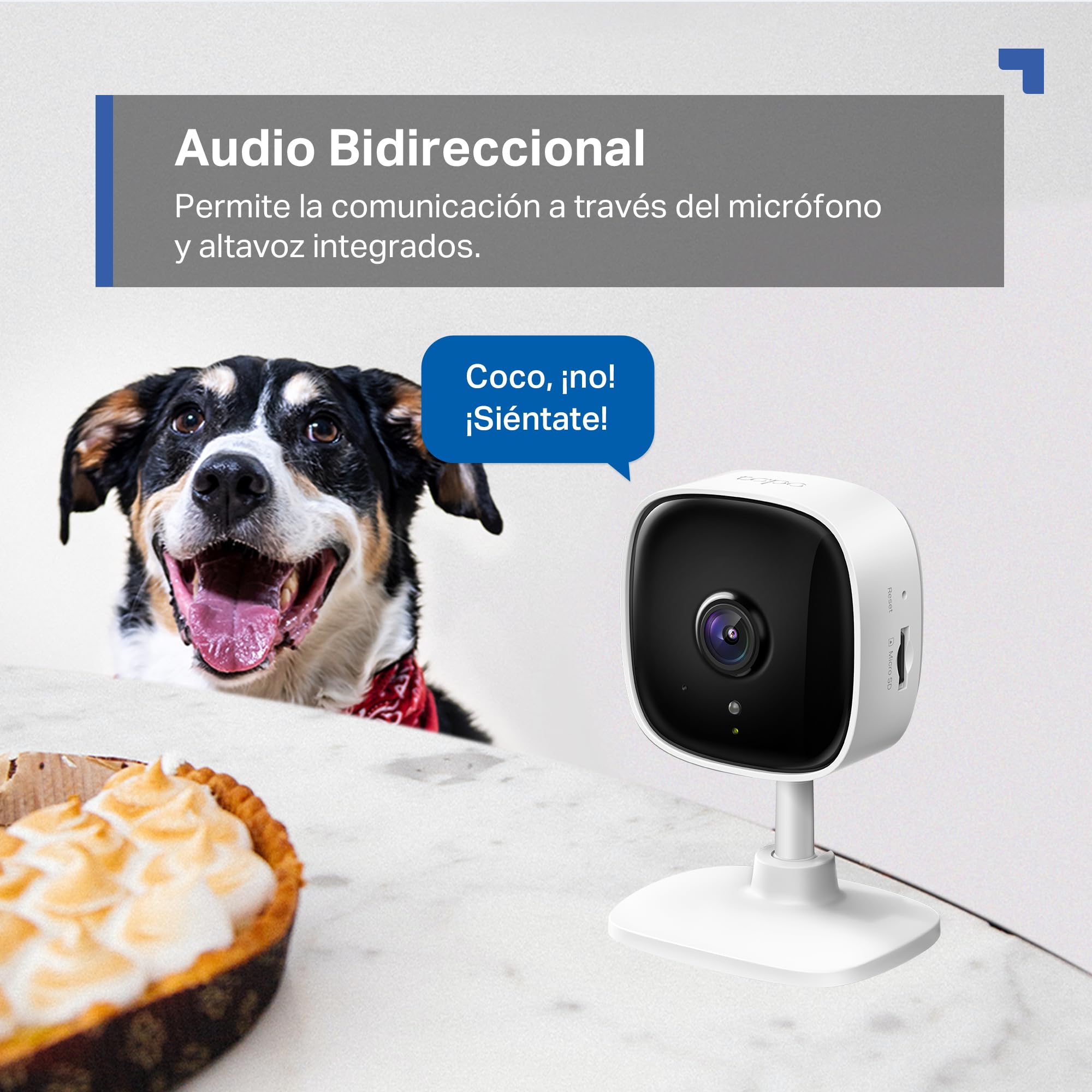 Cámara Tapo blanca con audio bidireccional comunicándose con un cachorro ladrando cerca de un pastel