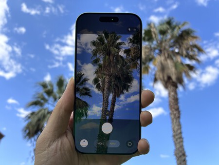 Smartphone iPhone en mano capturando foto de palmeras con cielo azul de fondo