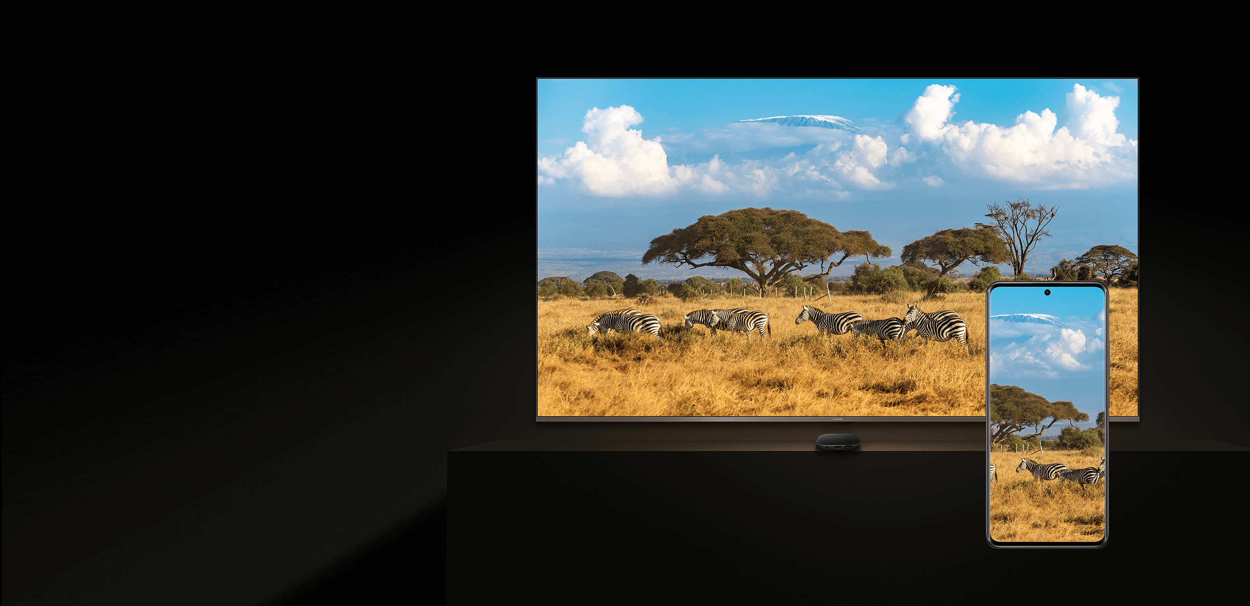 Televisor y móvil con imagen de cebras en savana