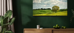 Televisor en sala mostrando paisaje natural verde