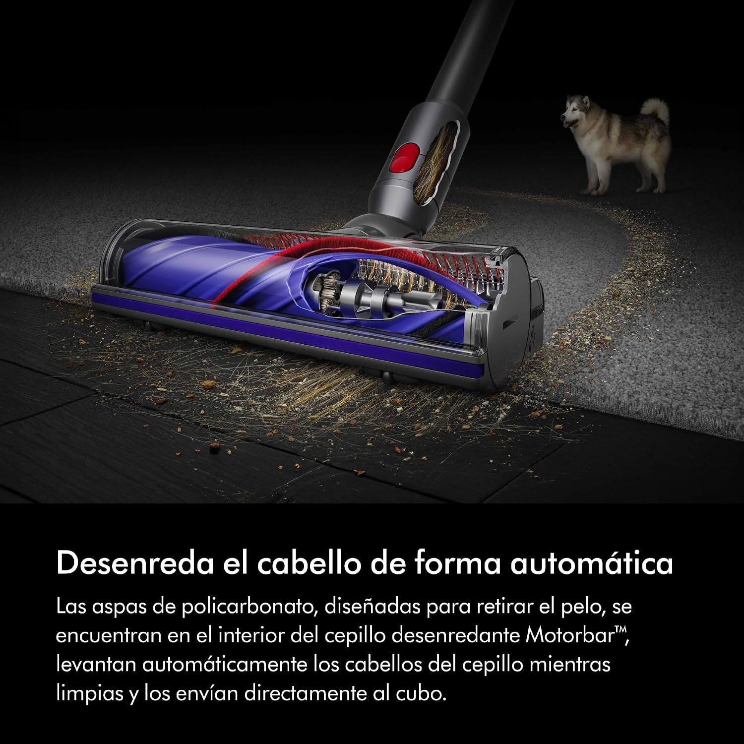 Aspiradora Dyson V8 Origin con cepillo Motorbar™ en acción, demostrando su capacidad de limpieza automática.