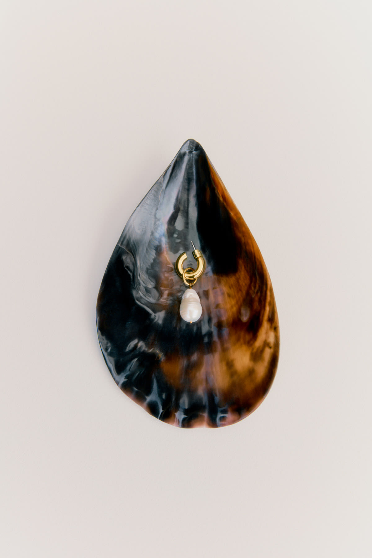 pearl earring resting in shell