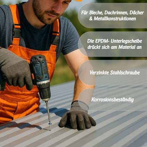 Vue 4 de Colorhead Lot De Vis