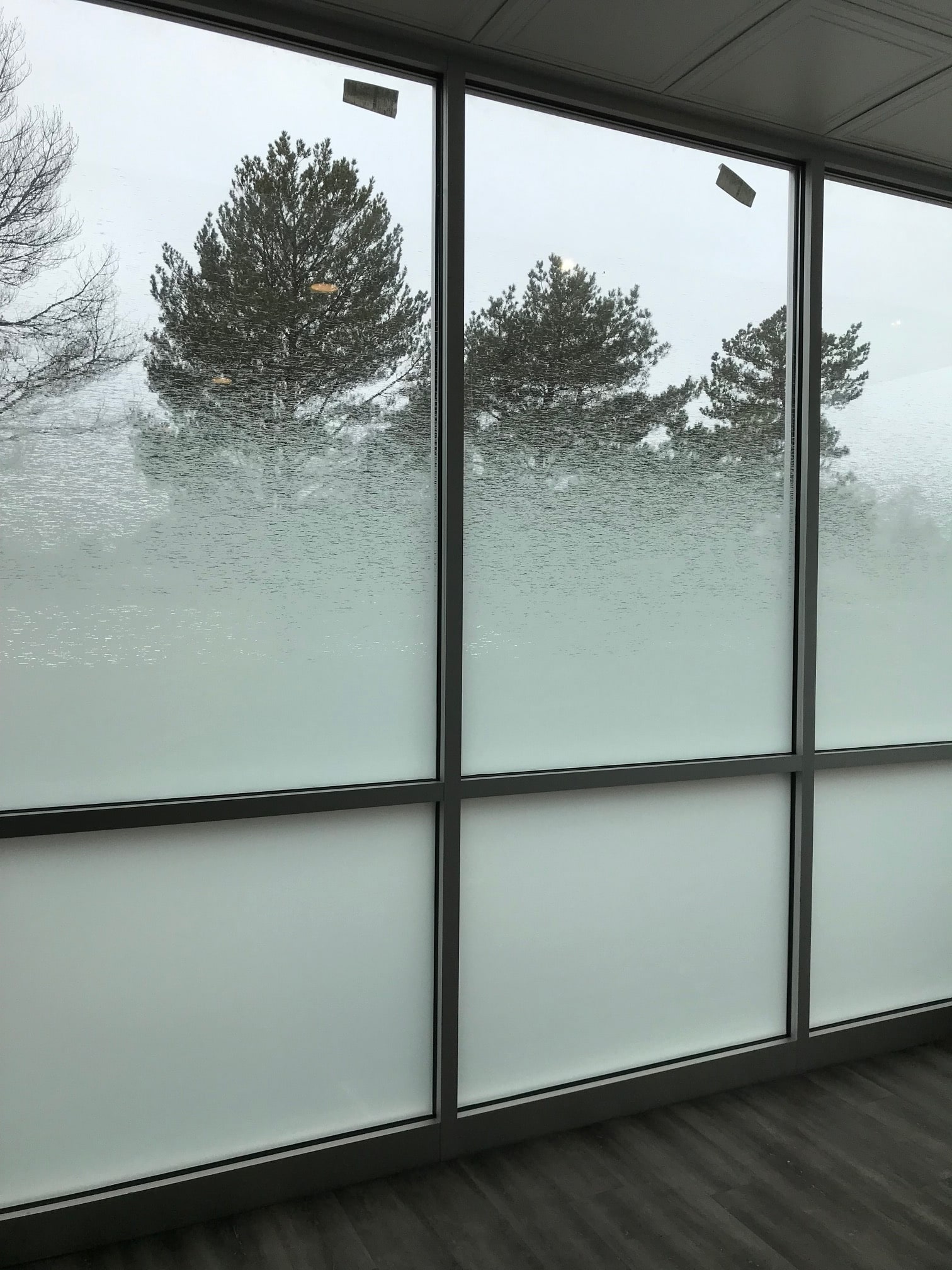 Large tinted window wall with frosted lower privacy panels