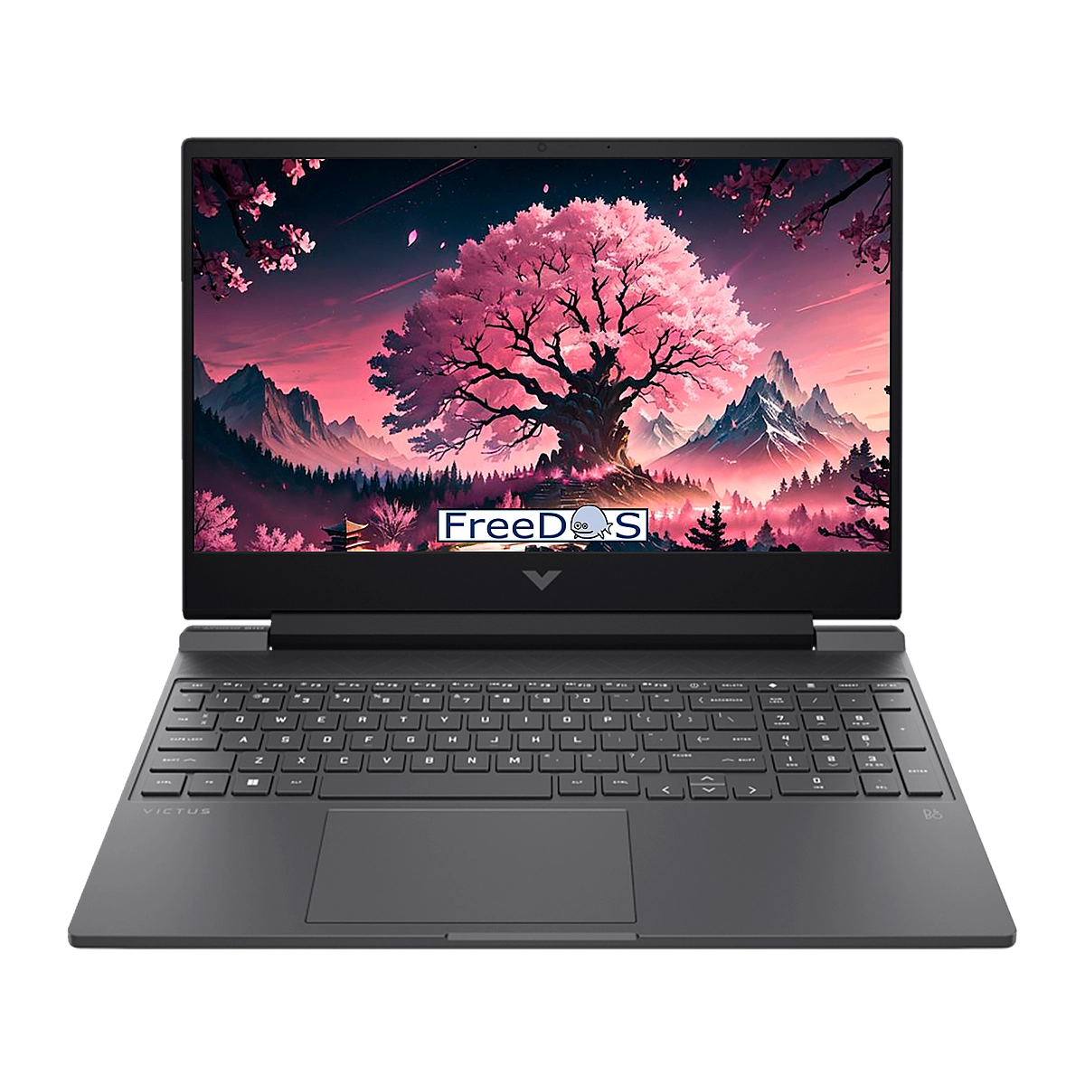 LAPTOP HP Victus Ryzen 5 8645HS 16GB RAM 512GB SSD 15.6" RTX2050-4GB