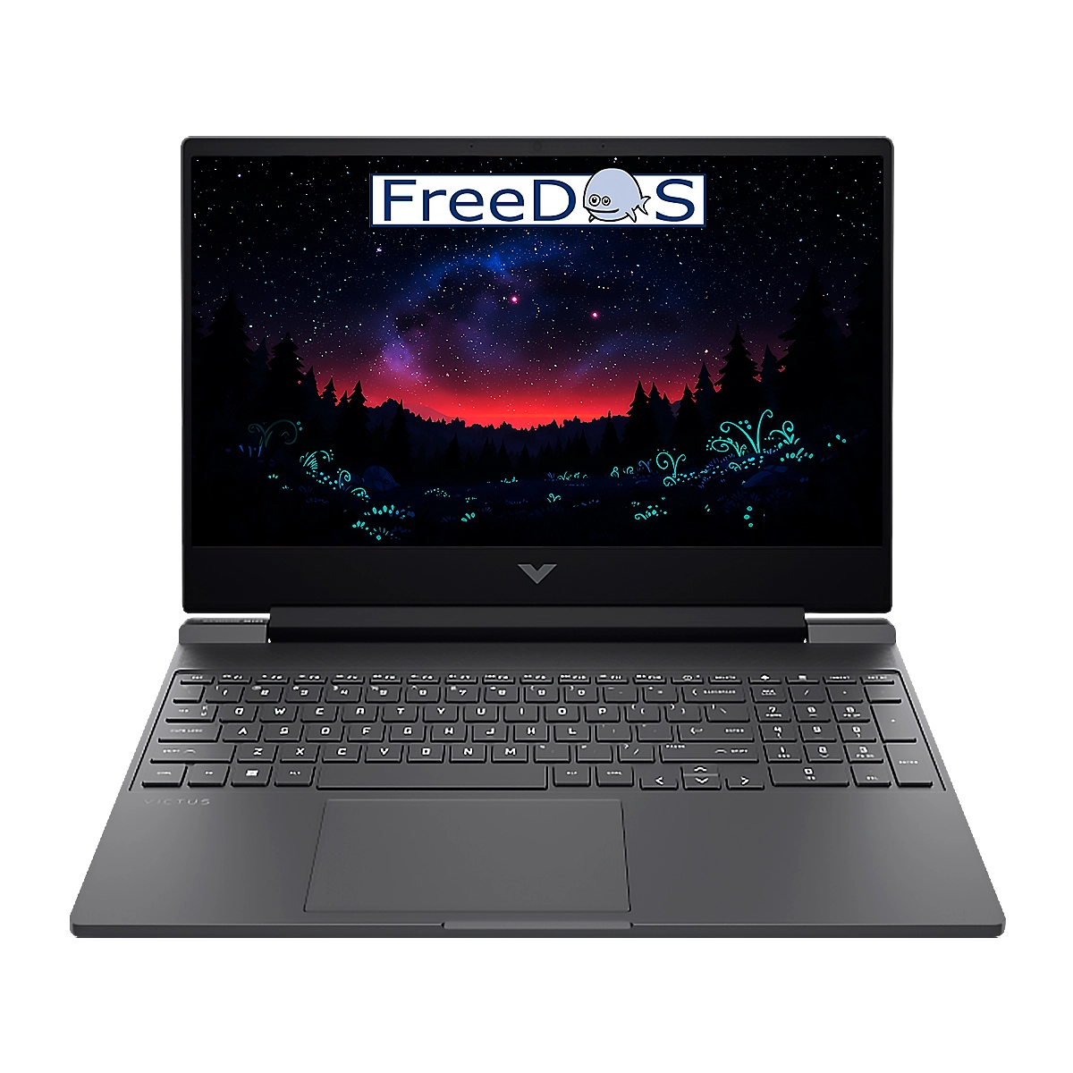 LAPTOP HP Victus Ryzen 7 8845HS 16GB 1TB 15.6" RTX4050-6GB