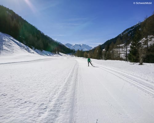 Pista sci di fondo Bedretto