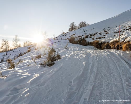 Percorso con ciaspole Cimetta–Pian della Cimetta–Cardada