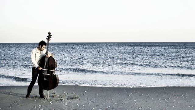 Essential Garth Stevenson Albums: A Listening Guide