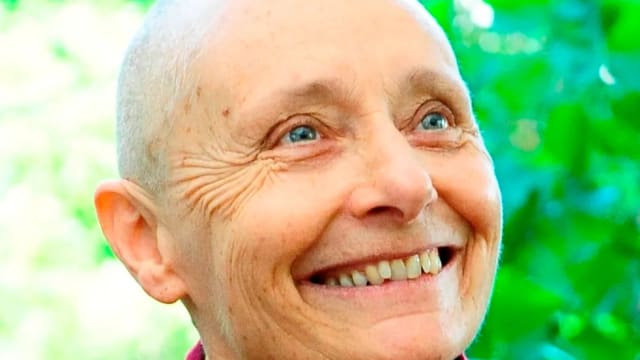 Where to Start with Jetsunma Tenzin Palmo: A Beginner's Guide