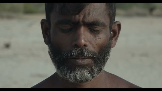 Inner Storms and Emotional Resilience: The Message Behind "2 Oceans"