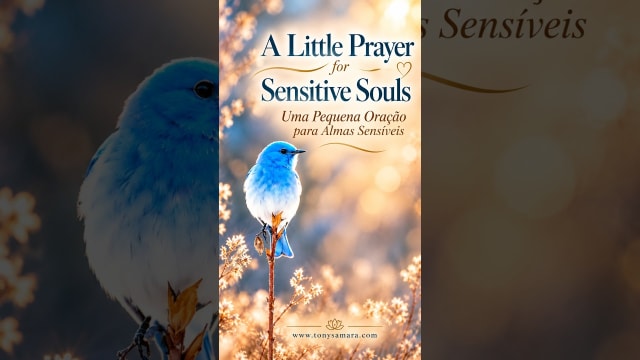 A Prayer for Sensitive Souls: Open Without Being Overwhelmed