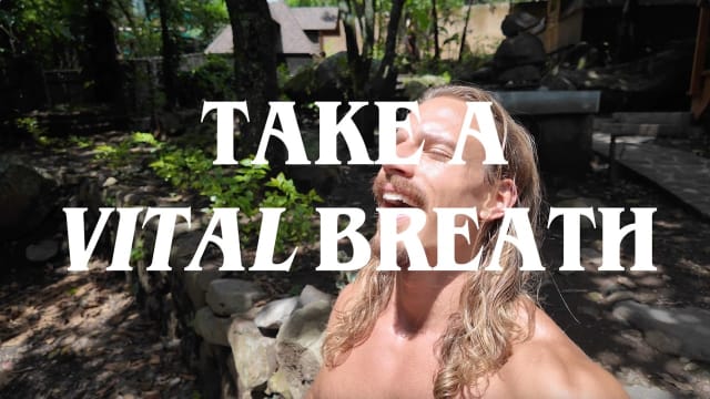 Primal Living in a Backwards World: A Raw Holistic Health Primer