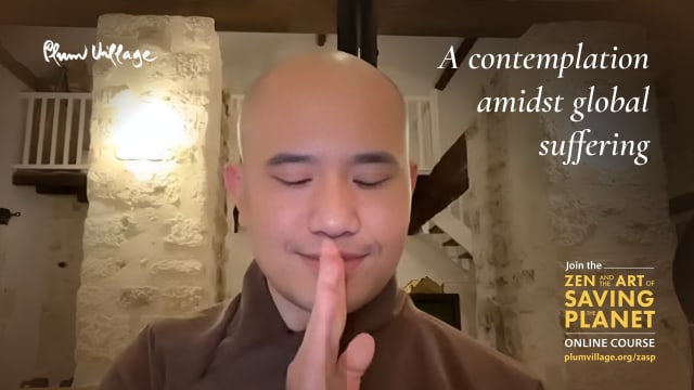 Mindful Resistance & Resilience Through Meditation