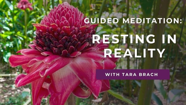 Guided Meditation: Resting in Reality Within the Body