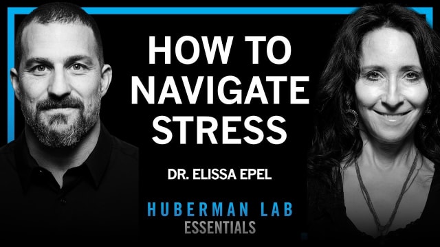 Stress Resilience: How Chronic Stress Ages Cells and What to Do
