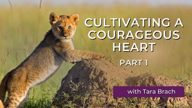 Hate Cannot Drive Out Hate: Tara Brach on Courageous Presence