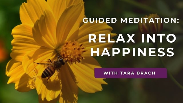 Relax Into Happiness: The Art of Letting Go