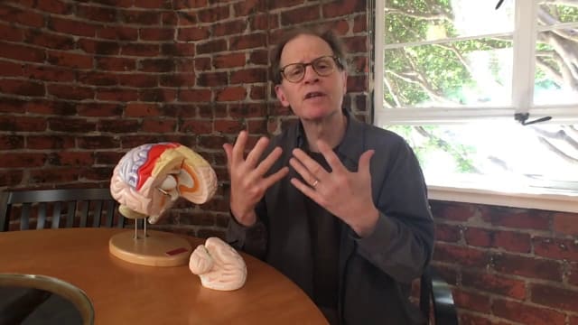 The Hand Model of the Brain: A Guide to Integration