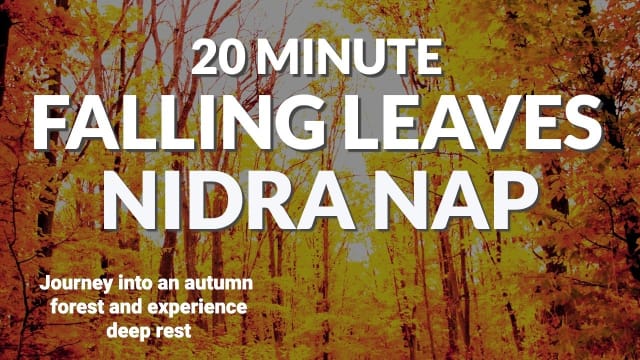20-Minute Autumn Forest Yoga Nidra for Deep Rest