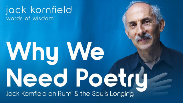 Why Poetry Matters: Rumi, Soul Longing & Spiritual Expression