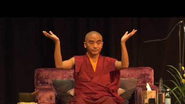 Beyond Mindfulness: How Welcoming Panic Became a Path