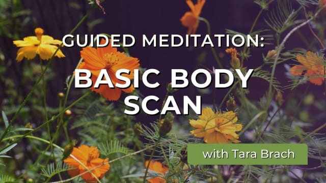 Body Scan Meditation: Awakening Presence Through Sensation