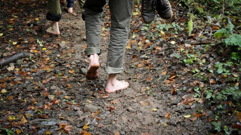 Group Forest Bathing, Hill Farm Tintern