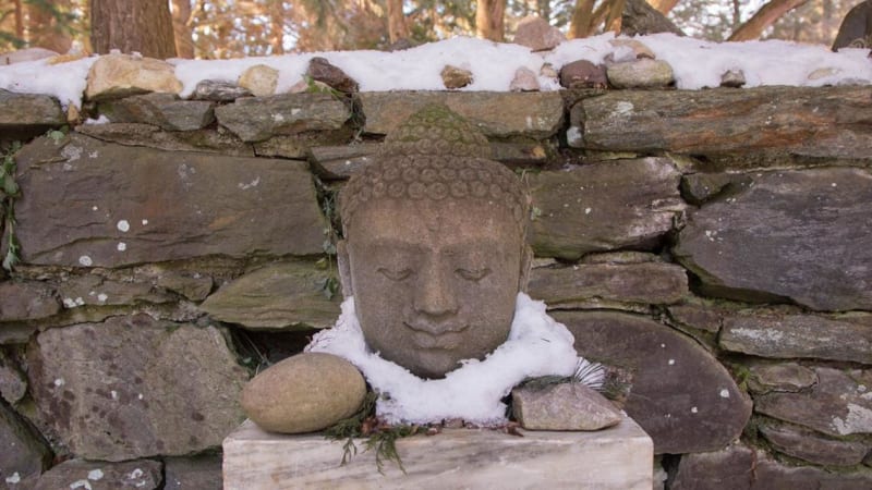 The Great Work of Your Life: A New Year Dharma Reflection