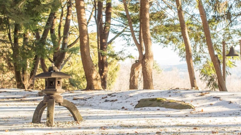 Winter Ayurveda Retreat: Harmony, Rejuvenation, and Rest