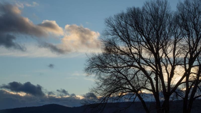 Crossing into the New Year with Dream Wisdom