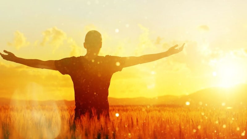 Embodied Manifestation: The Roadmap to Creating the Life You Desire